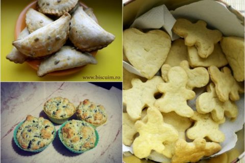 biscuim, retete biscuim, diversifciare, meniu bebe, bebe in concediu, idei de gustare concediu